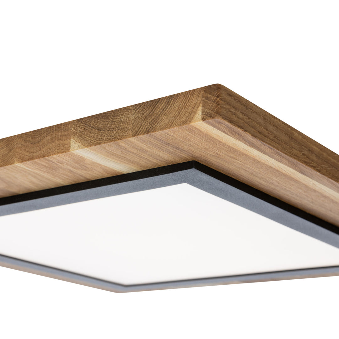 Ceiling light Argentina Panel - S